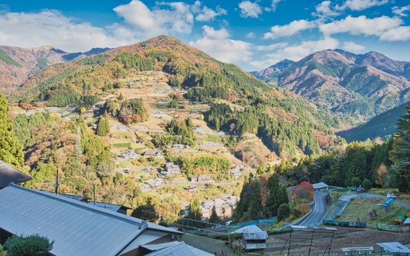 Terraced hillside village of Ochiai in the Iya Valley, Shikoku, photographed during the Shikoku & Kansai road trip